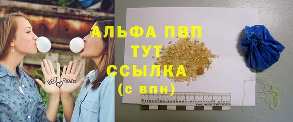 PSILOCYBIN Горнозаводск