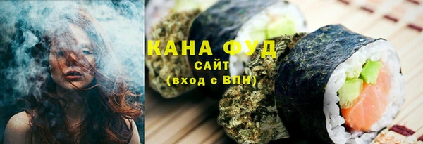 первитин Гусев
